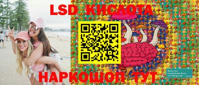 spice Заволжье