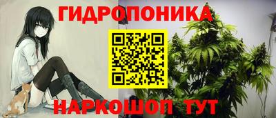 spice Заволжье