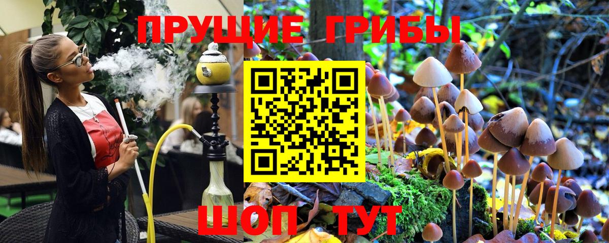 Псилоцибиновые грибы прущие грибы Михайловка