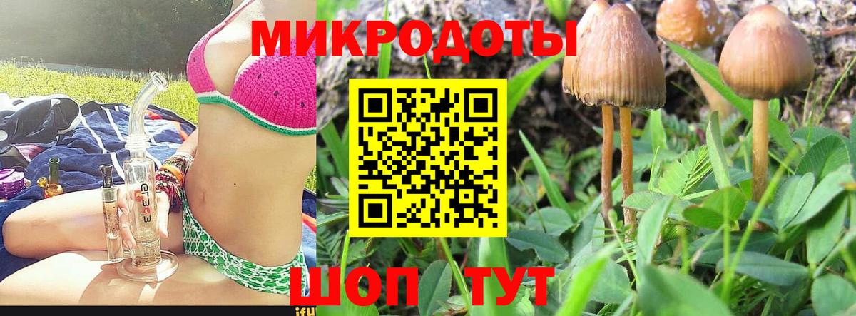 Галлюциногенные грибы MAGIC MUSHROOMS  Вход с VPN  где найти наркотики  Михайловка 